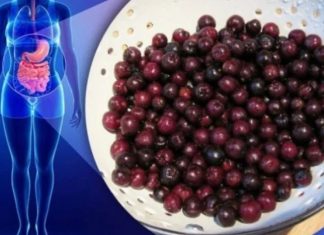 Za ovo VOĆE kažu da je najzdravije na svetu: Ubija ćelije RAKA, viruse i usporava STARENJE