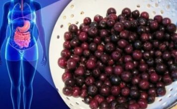 Za ovo VOĆE kažu da je najzdravije na svetu: Ubija ćelije RAKA, viruse i usporava STARENJE