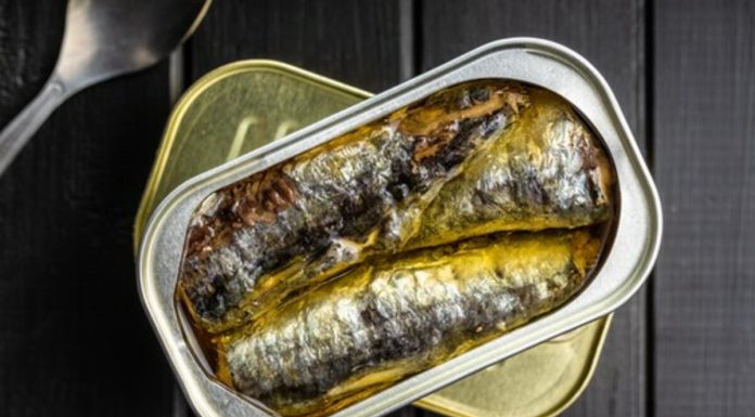 Doktori je zovu čuvar srca: Ova riba je spas za starije, nema žive, a jeftinija je od svakog mesa Doktori je zovu čuvar srca: Ova riba je spas za starije, nema žive, a jeftinija je od svakog mesa - featured image