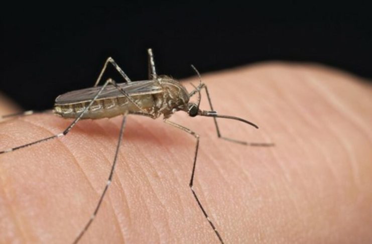 Širi se smrtonosna groznica u 16 zemalja: Izdato upozorenje za putnike, ovo su simptomi! (VIDEO) Širi se smrtonosna groznica u 16 zemalja: Izdato upozorenje za putnike, ovo su simptomi! (VIDEO) - featured image