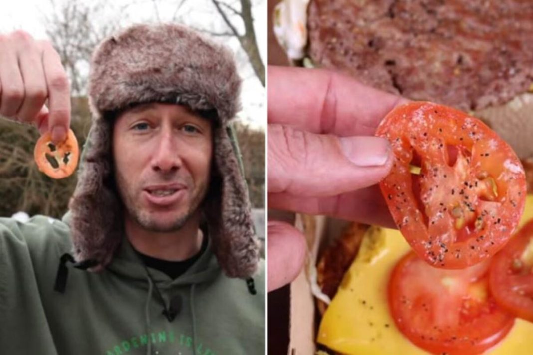 POSADIO SEMENKU PARADAJZA IZ PLJESKAVICE Nije mu bilo dobro kad je video šta je u BAŠTI IZRASLO nakon 3 MESECA - featured image POSADIO SEMENKU PARADAJZA IZ PLJESKAVICE Nije mu bilo dobro kad je video šta je u BAŠTI IZRASLO nakon 3 MESECA - featured image