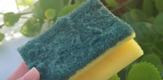 Od otpada do zlata: Nevjerovatna nova namjena starog sunđera! Ovo je trik koji je odusevio svijet” Od otpada do zlata: Nevjerovatna nova namjena starog sunđera! Ovo je trik koji je odusevio svijet” - featured image