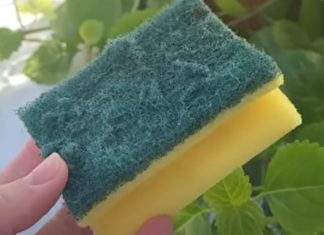 Od otpada do zlata: Nevjerovatna nova namjena starog sunđera! Ovo je trik koji je odusevio svijet” Od otpada do zlata: Nevjerovatna nova namjena starog sunđera! Ovo je trik koji je odusevio svijet” - featured image