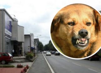 AKO VAS NAPADNE PAS LUTALICA, URADITE SAMO JEDNO: OVO je najbolja ODBRANA, ODMAH ćete ga ZAUSTAVITI AKO VAS NAPADNE PAS LUTALICA, URADITE SAMO JEDNO: OVO je najbolja ODBRANA, ODMAH ćete ga ZAUSTAVITI - featured image