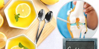 Želatin i limun obnavljaju kolagen u zglobovima: Recept je jednostavan, a rezultati vidljivi nakon 30 dana Želatin i limun obnavljaju kolagen u zglobovima: Recept je jednostavan, a rezultati vidljivi nakon 30 dana - featured image