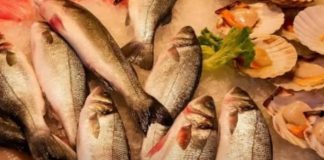 Ovo je najgora vrsta ribe po zdravlje: Svi je kupuju Ovo je najgora vrsta ribe po zdravlje: Svi je kupuju - featured image