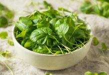 OVO je najzdravije povrće na svetu: Mnogi ga retko jedu a najbolji je izvor vitamina i dugovječnosti Najzdravije povrće na svetu mnogi u Srbiji retko jedu: Ima više vitamina od kelja i spanaća - featured image