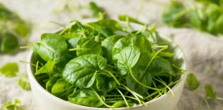 OVO je najzdravije povrće na svetu: Mnogi ga retko jedu a najbolji je izvor vitamina i dugovječnosti Najzdravije povrće na svetu mnogi u Srbiji retko jedu: Ima više vitamina od kelja i spanaća - featured image