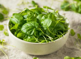 OVO je najzdravije povrće na svetu: Mnogi ga retko jedu a najbolji je izvor vitamina i dugovječnosti Najzdravije povrće na svetu mnogi u Srbiji retko jedu: Ima više vitamina od kelja i spanaća - featured image