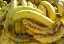 Banane nikako nemojte jesti ako imate neko od ovih oboljenja! Loše će uticati na vaše zdravlje