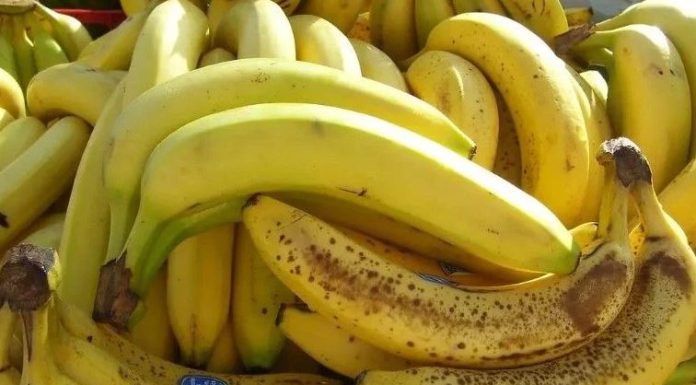 Banane nikako nemojte jesti ako imate neko od ovih oboljenja! Loše će uticati na vaše zdravlje