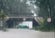 NEVREME PARALISALO OVAJ GRAD U SRBIJI! Vetar nosi sve pred sobom, ulice POD VODOM: Automobili zarobljeni, potop na više lokacija (VIDEO) NEVREME PARALISALO OVAJ GRAD U SRBIJI! Vetar nosi sve pred sobom, ulice POD VODOM: Automobili zarobljeni, potop na više lokacija (VIDEO) - featured image