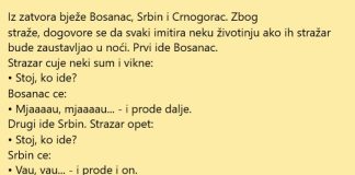 Bijeg iz zatvora