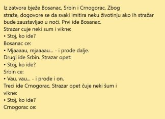Bijeg iz zatvora
