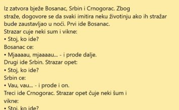 Bijeg iz zatvora