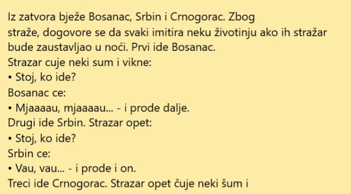 Bijeg iz zatvora
