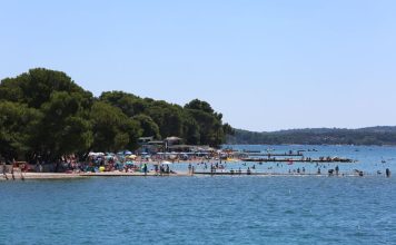 U plićaku Jadrana viđeno opasno stvorenje: Približilo se popularnoj plaži, upozorenje za turiste i kupače U plićaku Jadrana viđeno opasno stvorenje: Približilo se popularnoj plaži, upozorenje za turiste i kupače - featured image
