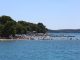 U plićaku Jadrana viđeno opasno stvorenje: Približilo se popularnoj plaži, upozorenje za turiste i kupače U plićaku Jadrana viđeno opasno stvorenje: Približilo se popularnoj plaži, upozorenje za turiste i kupače - featured image