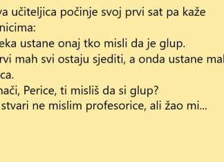 VIC DANA: Došla nova učiteljica