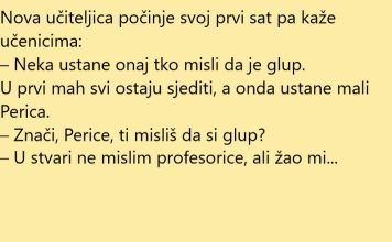 VIC DANA: Došla nova učiteljica