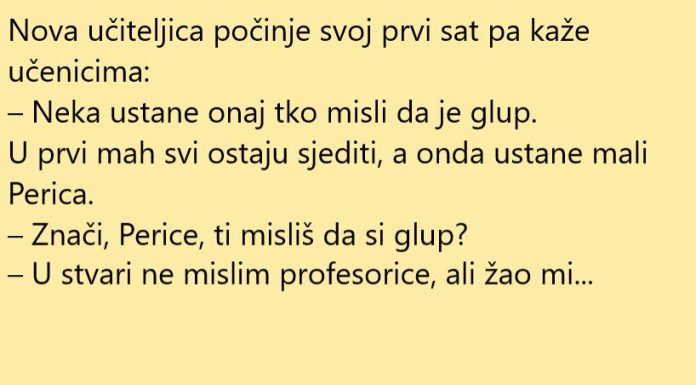 VIC DANA: Došla nova učiteljica