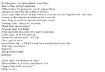 VIC DANA: Prorok Suljo