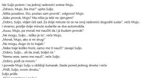 VIC DANA: Prorok Suljo