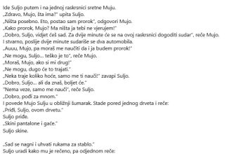 VIC DANA: Prorok Suljo