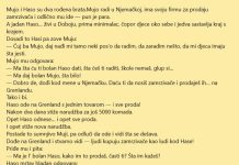 VIC: Genije za prodaju sa Grenlanda
