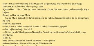 VIC: Genije za prodaju sa Grenlanda
