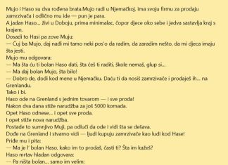 VIC: Genije za prodaju sa Grenlanda