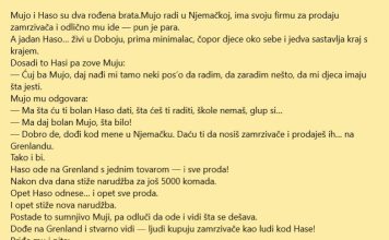 VIC: Genije za prodaju sa Grenlanda