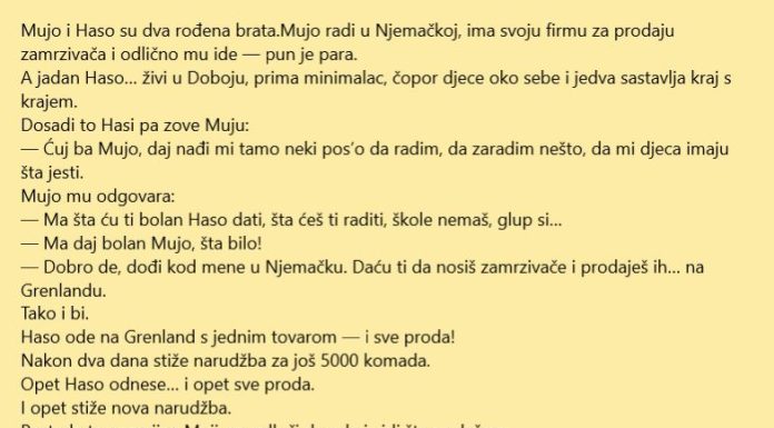 VIC: Genije za prodaju sa Grenlanda