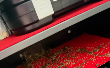 Čuvala 26 hiljada evra u sefu: Kad je otvorila da plati ratu kredita, umalo se nije onesvestila na licu mesta Čuvala 26 hiljada evra u sefu: Kad je otvorila da plati ratu kredita, umalo se nije onesvestila na licu mesta - featured image