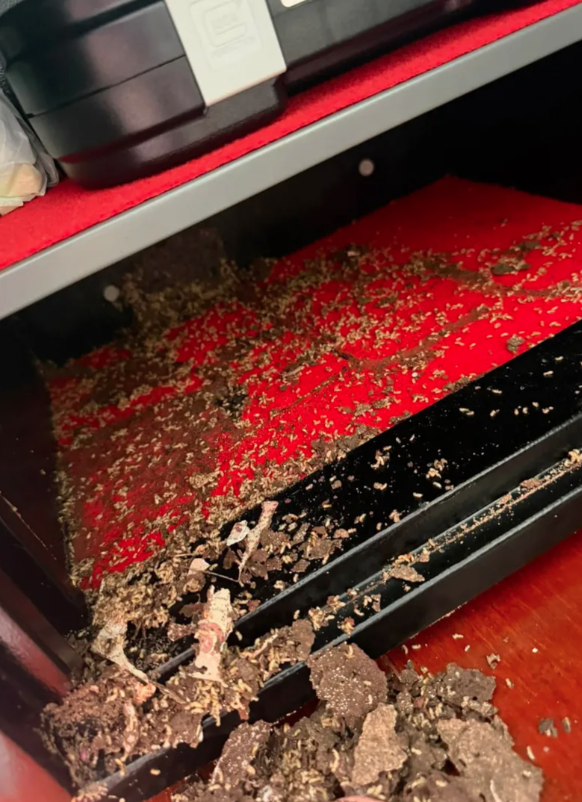 Čuvala 26 hiljada evra u sefu: Kad je otvorila da plati ratu kredita, umalo se nije onesvestila na licu mesta - featured image Čuvala 26 hiljada evra u sefu: Kad je otvorila da plati ratu kredita, umalo se nije onesvestila na licu mesta - featured image