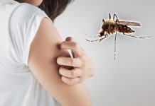 Zašto komarci uvek ujedaju iste ljude? Razlog nije krvna grupa, već nešto drugo Zašto komarci uvek ujedaju iste ljude? Razlog nije krvna grupa, već nešto drugo - featured image