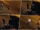 PRVI SNIMAK OTMICE U NOVOM SADU, POLICIJA MUNJEVITO REŠILA SLUČAJ! Na silu ga ugurali u luksuznu G klasu bosanskih tablica! Građani odmah pozvali 192! (VIDEO) PRVI SNIMAK OTMICE U NOVOM SADU, POLICIJA MUNJEVITO REŠILA SLUČAJ! Na silu ga ugurali u luksuznu G klasu bosanskih tablica! Građani odmah pozvali 192! (VIDEO) - featured image