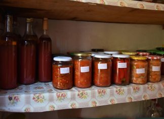 Salata od paradajza i paprika biće vam omiljena zimnica: Sprema se očas posla, a ukus je savršen Salata od paradajza i paprika biće vam omiljena zimnica: Sprema se očas posla, a ukus je savršen - featured image