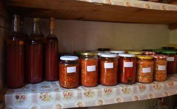 Salata od paradajza i paprika biće vam omiljena zimnica: Sprema se očas posla, a ukus je savršen Salata od paradajza i paprika biće vam omiljena zimnica: Sprema se očas posla, a ukus je savršen - featured image