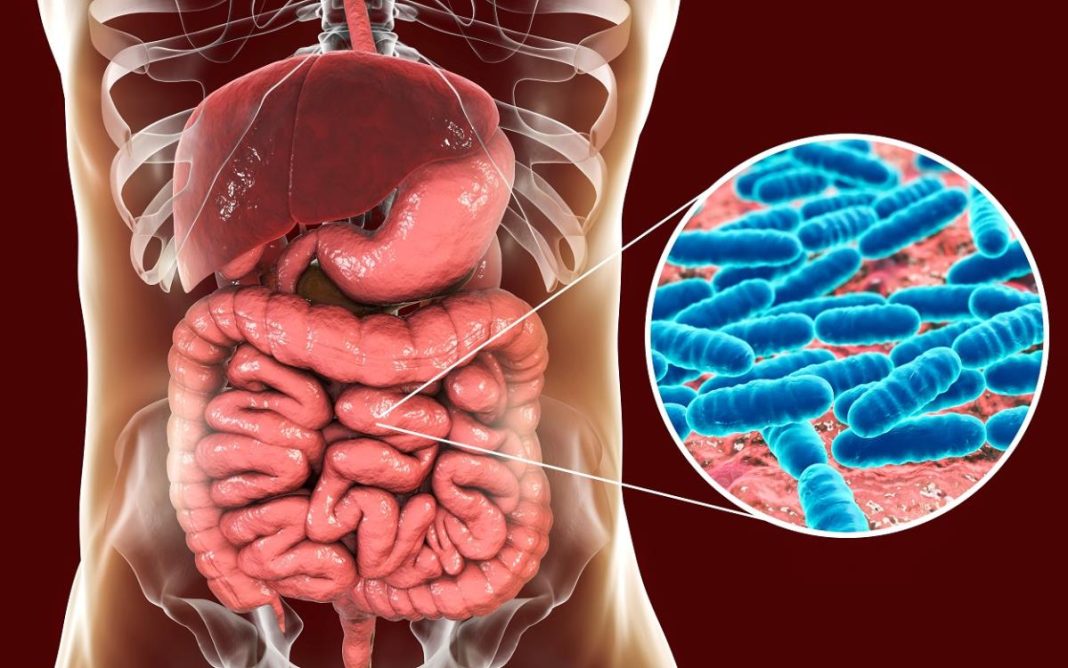 Ovo jesenje voće čisti creva poput metle i podstiče njihovo pražnjenje: Lekari otkrivaju na koji način ga treba jesti - featured image Ovo jesenje voće čisti creva poput metle i podstiče njihovo pražnjenje: Lekari otkrivaju na koji način ga treba jesti - featured image