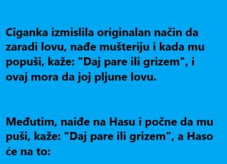 VIC DANA :Daj pare ili…..