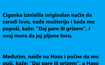 VIC DANA :Daj pare ili…..