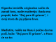 VIC DANA :Daj pare ili…..