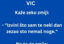 VIC DANA: Zec i Zmija