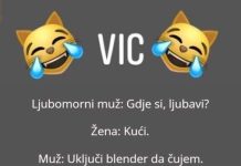 VIC DANA: Ljubomorni muž i blender