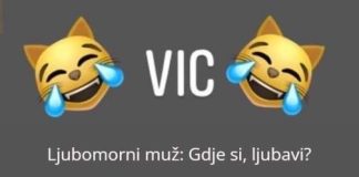 VIC DANA: Ljubomorni muž i blender