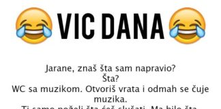 VIC DANA: WC S MUZIKOM
