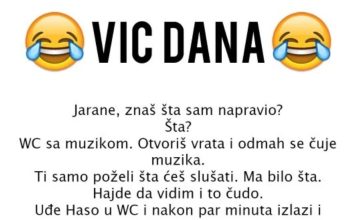 VIC DANA: WC S MUZIKOM
