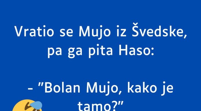 VIC DANA: Vratio se Mujo iz Švedske