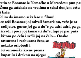VIC DANA: Vratio se bosanac iz Njemačke u Mercedesu